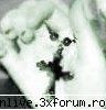 Avatar - damio mie:X:X:X:X - Alte Discutii ...