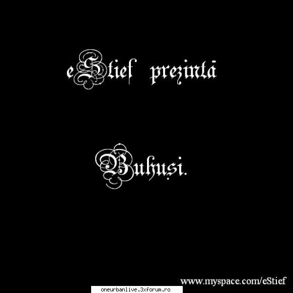 eStief prezinta.. "Buhusi" - Compilatie - "Trupa eStief are onoarea să prezinte - Promovare
